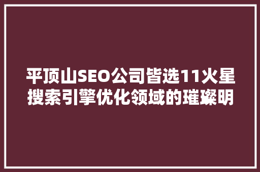 平顶山SEO公司皆选11火星搜索引擎优化领域的璀璨明星