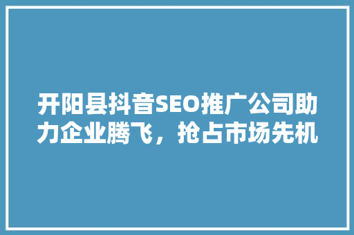 开阳县抖音SEO推广公司助力企业腾飞，抢占市场先机