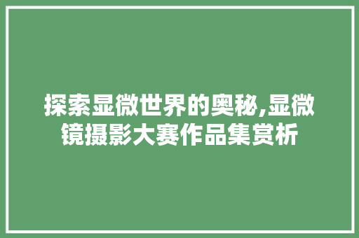 探索显微世界的奥秘,显微镜摄影大赛作品集赏析