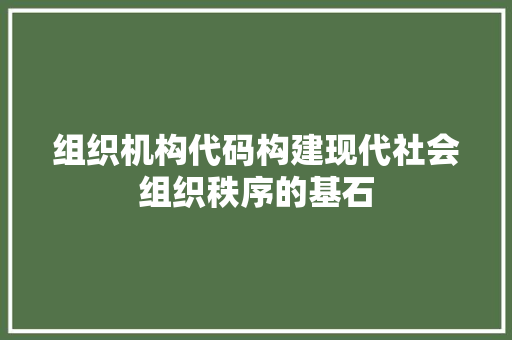 组织机构代码构建现代社会组织秩序的基石  第1张