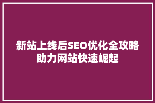 新站上线后SEO优化全攻略助力网站快速崛起