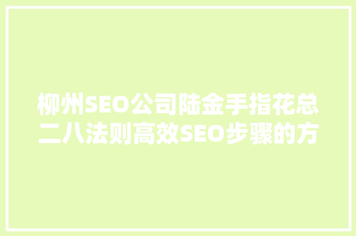 柳州SEO公司陆金手指花总二八法则高效SEO步骤的方法