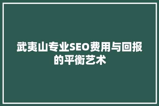 武夷山专业SEO费用与回报的平衡艺术