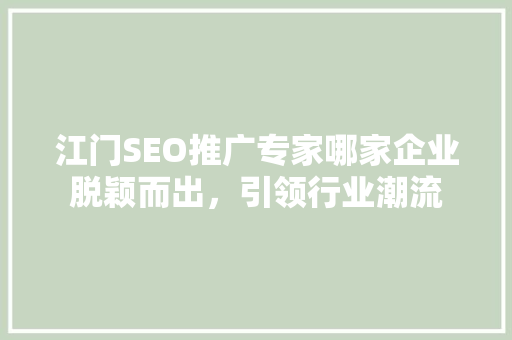 江门SEO推广专家哪家企业脱颖而出，引领行业潮流