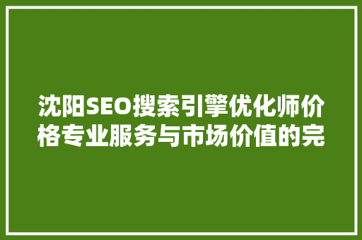 沈阳SEO搜索引擎优化师价格专业服务与市场价值的完美融合  第1张