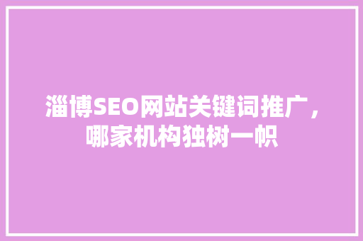 淄博SEO网站关键词推广，哪家机构独树一帜