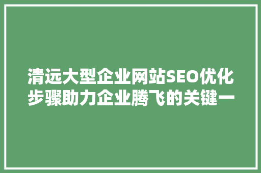 清远大型企业网站SEO优化步骤助力企业腾飞的关键一招