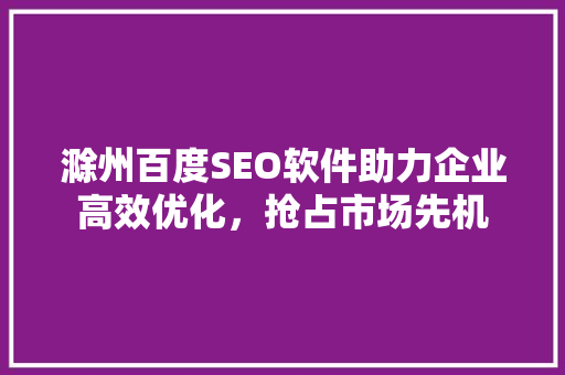 滁州百度SEO软件助力企业高效优化，抢占市场先机