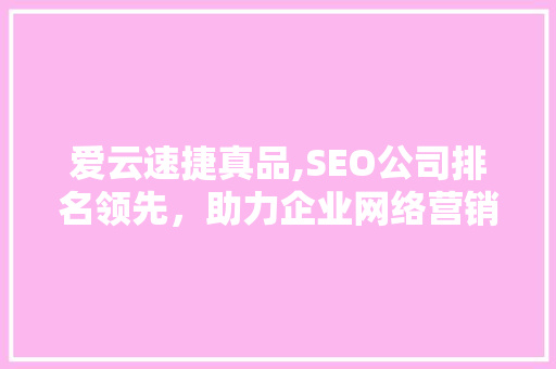 爱云速捷真品,SEO公司排名领先，助力企业网络营销新篇章