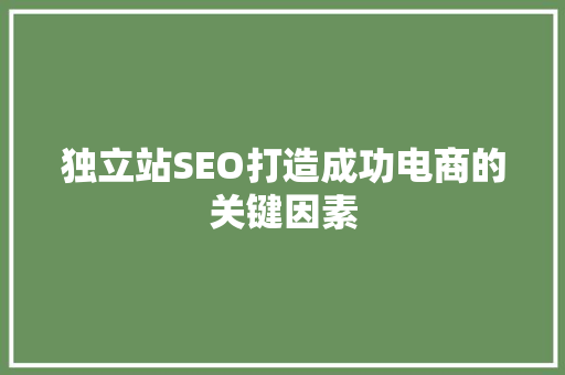独立站SEO打造成功电商的关键因素  第1张