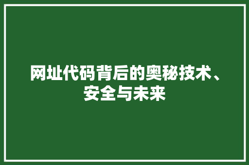 网址代码背后的奥秘技术、安全与未来