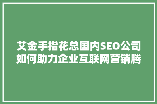 艾金手指花总国内SEO公司如何助力企业互联网营销腾飞