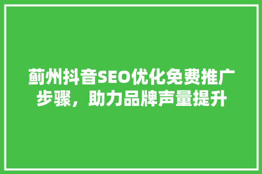 蓟州抖音SEO优化免费推广步骤，助力品牌声量提升
