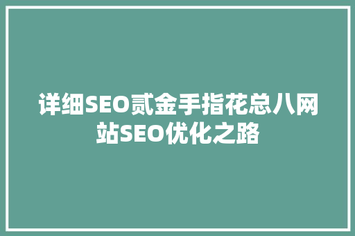 详细SEO贰金手指花总八网站SEO优化之路