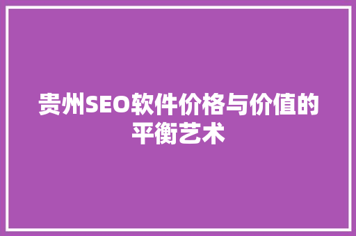 贵州SEO软件价格与价值的平衡艺术