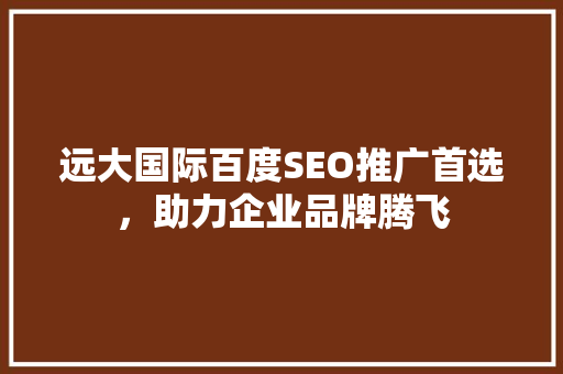 远大国际百度SEO推广首选，助力企业品牌腾飞