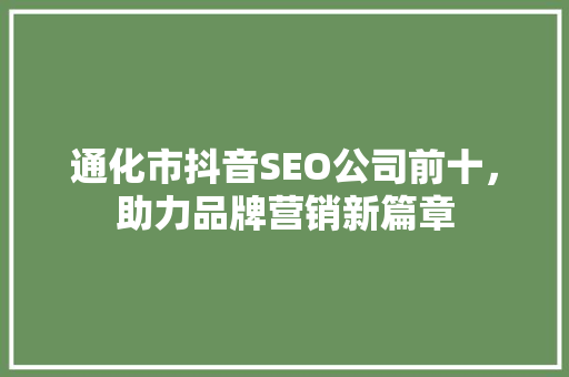 通化市抖音SEO公司前十，助力品牌营销新篇章