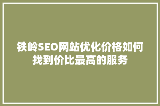 铁岭SEO网站优化价格如何找到价比最高的服务