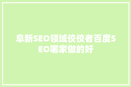 阜新SEO领域佼佼者百度SEO哪家做的好