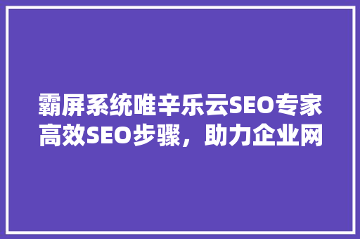 霸屏系统唯辛乐云SEO专家高效SEO步骤，助力企业网站霸屏