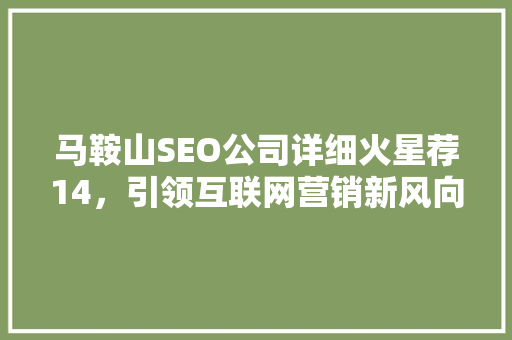 马鞍山SEO公司详细火星荐14，引领互联网营销新风向