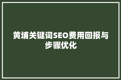 黄埔关键词SEO费用回报与步骤优化