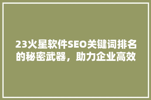 23火星软件SEO关键词排名的秘密武器，助力企业高效营销