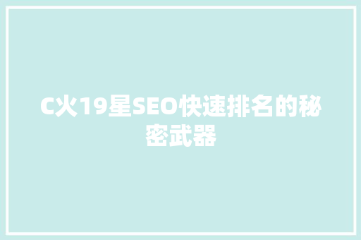 C火19星SEO快速排名的秘密武器
