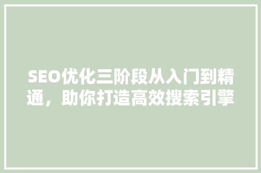 SEO优化三阶段从入门到精通，助你打造高效搜索引擎排名