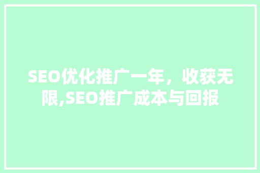 SEO优化推广一年，收获无限,SEO推广成本与回报