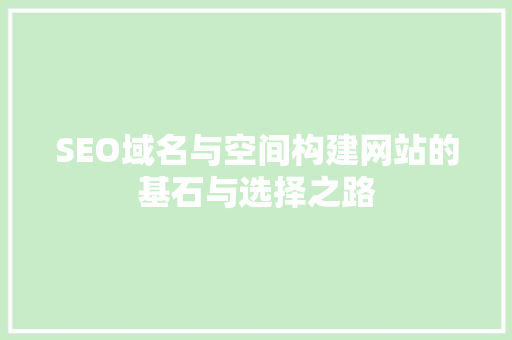 SEO域名与空间构建网站的基石与选择之路