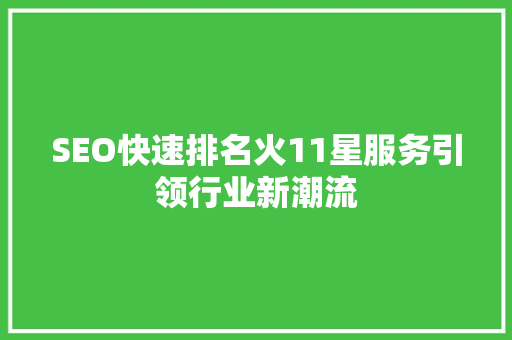 SEO快速排名火11星服务引领行业新潮流