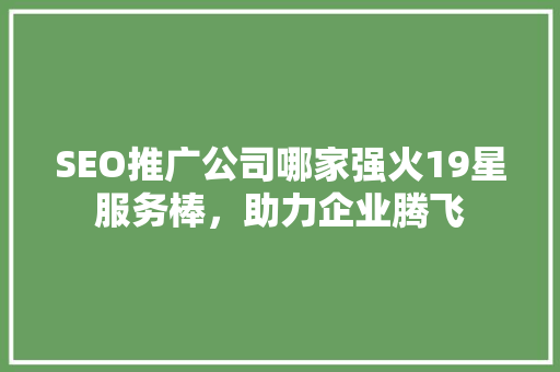 SEO推广公司哪家强火19星服务棒，助力企业腾飞