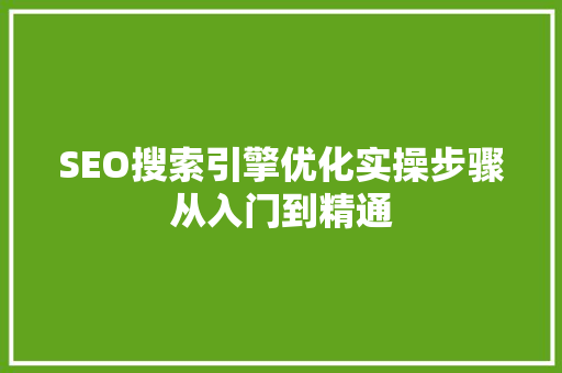 SEO搜索引擎优化实操步骤从入门到精通