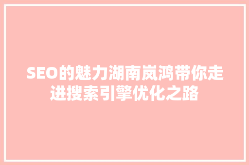 SEO的魅力湖南岚鸿带你走进搜索引擎优化之路