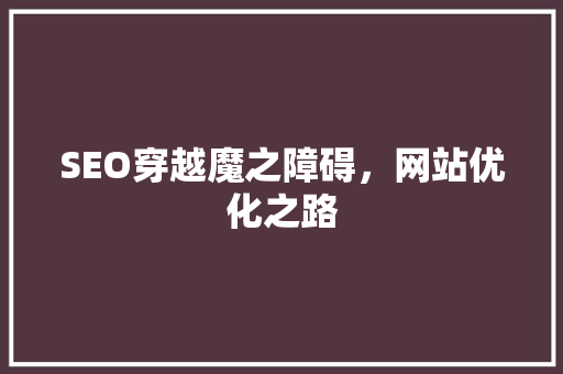 SEO穿越魔之障碍，网站优化之路