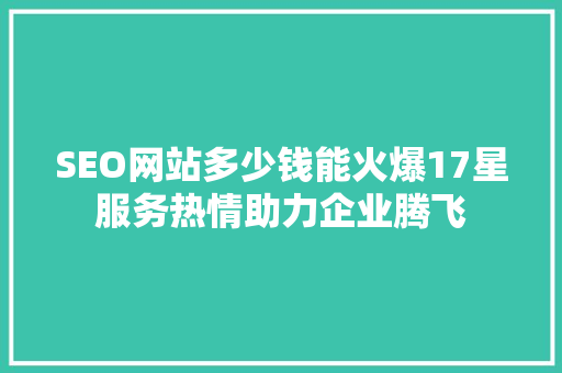 SEO网站多少钱能火爆17星服务热情助力企业腾飞
