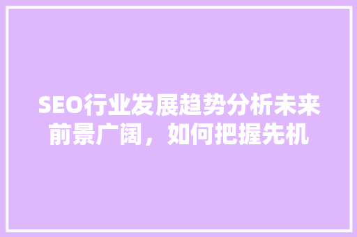 SEO行业发展趋势分析未来前景广阔，如何把握先机