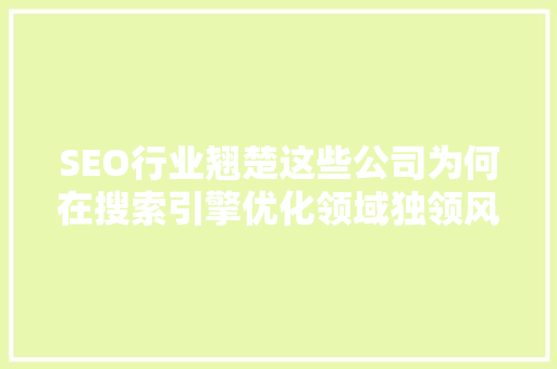 SEO行业翘楚这些公司为何在搜索引擎优化领域独领风骚