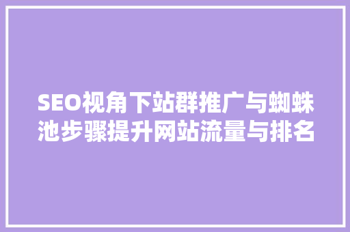 SEO视角下站群推广与蜘蛛池步骤提升网站流量与排名的艺术