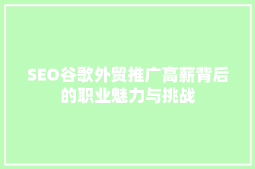 SEO谷歌外贸推广高薪背后的职业魅力与挑战