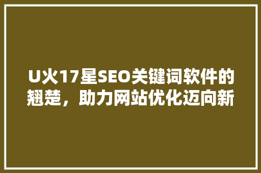 U火17星SEO关键词软件的翘楚，助力网站优化迈向新高度