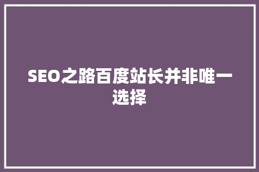 SEO之路百度站长并非唯一选择