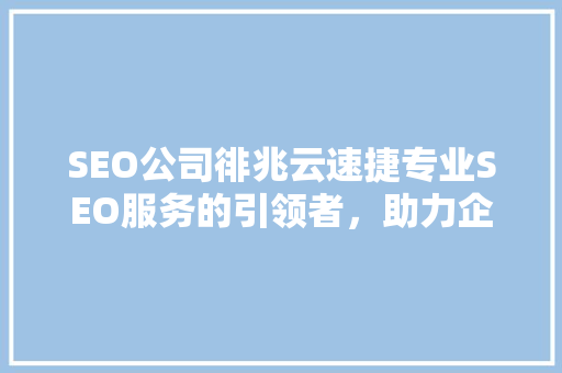 SEO公司徘兆云速捷专业SEO服务的引领者，助力企业互联网营销腾飞
