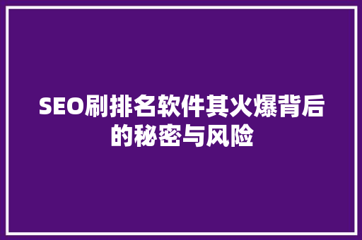 SEO刷排名软件其火爆背后的秘密与风险