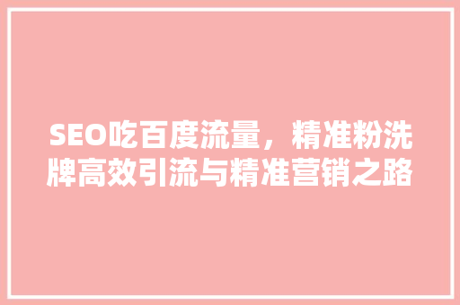 SEO吃百度流量，精准粉洗牌高效引流与精准营销之路