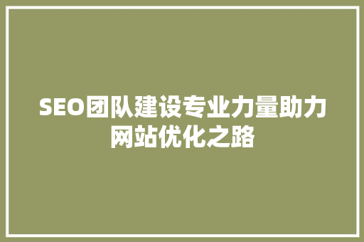 SEO团队建设专业力量助力网站优化之路