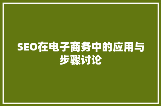 SEO在电子商务中的应用与步骤讨论
