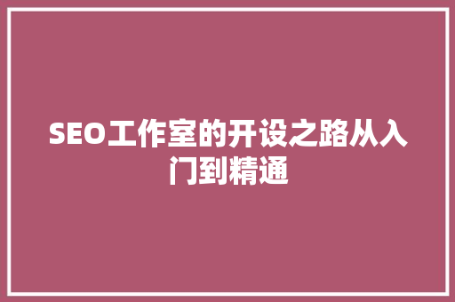 SEO工作室的开设之路从入门到精通