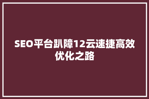 SEO平台趴障12云速捷高效优化之路